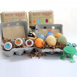 eco eggs art 